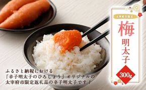 太宰府市限定 梅明太子 300g