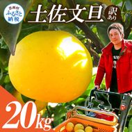 【CF-R7hbk】【先行予約】高知県産　訳あり土佐文旦20kg(10kg×2箱)