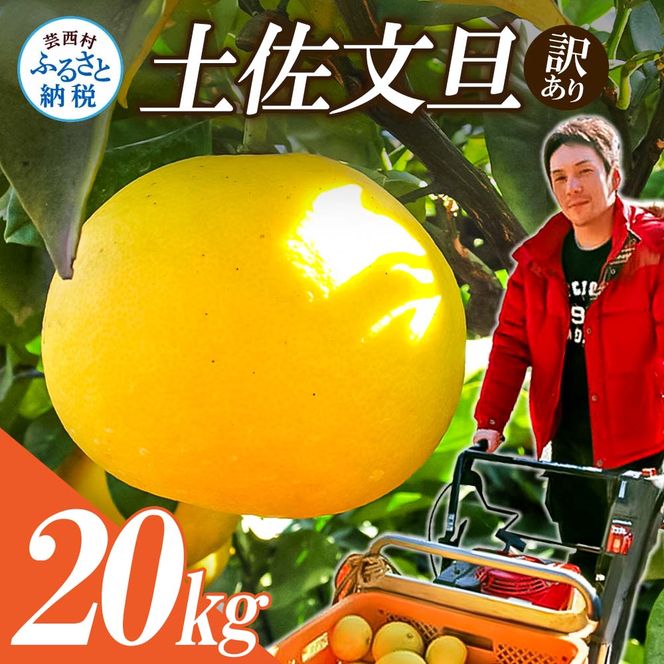【CF-R7hbk】【先行予約】高知県産　訳あり土佐文旦20kg(10kg×2箱)