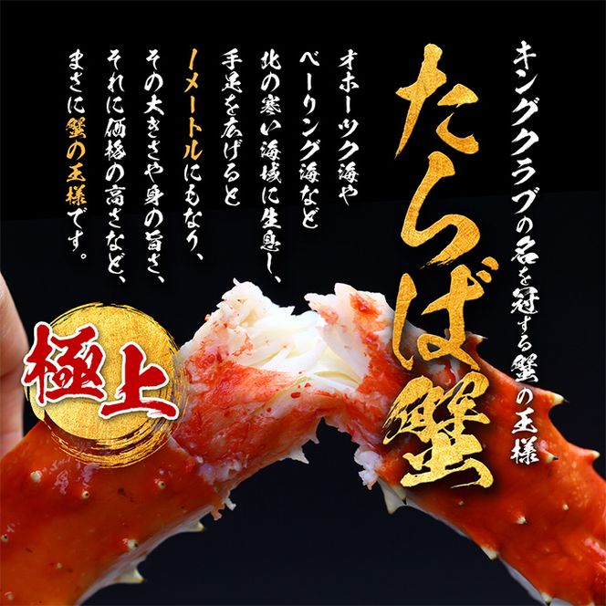 26-33 【甲羅組】カット済み特大生たらば蟹足