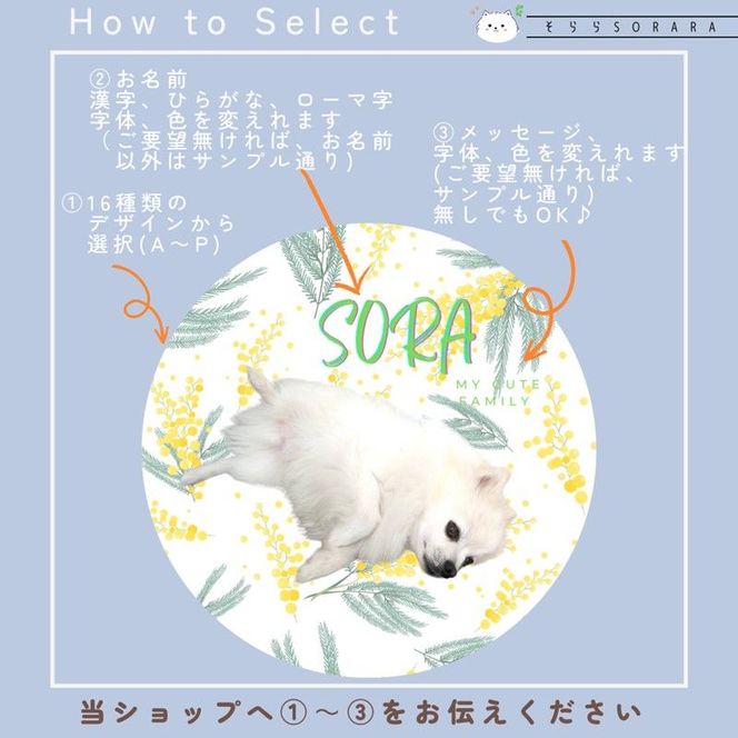 うちの子2個セット オリジナルプチ缶2個+シール2シート 《 犬 ケア 缶 セット 詰め合わせ オリジナル シール 》【2400N13304】