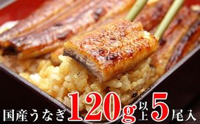 449.【うなぎ屋かわすい】国産うなぎ蒲焼5本セット（1本：120～149g）(A449-2)