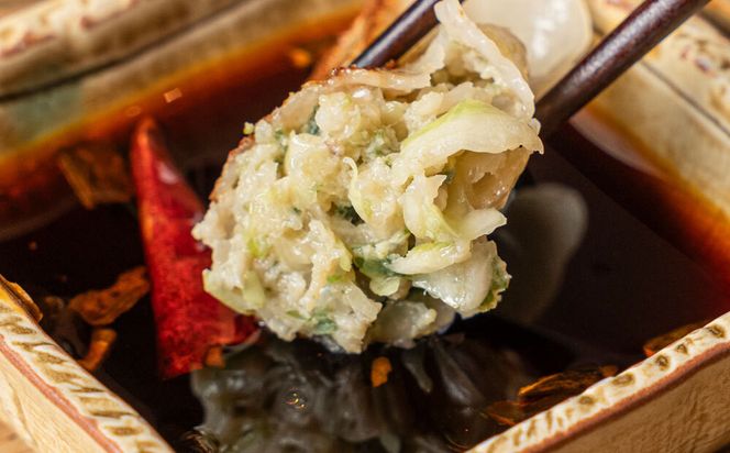 【ぎょうざ処　亮昌】冷凍亮昌ぎょうざ　２０個 261009_B-GR02