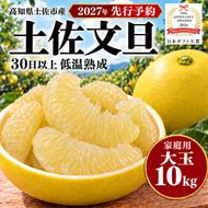 土佐文旦 大玉 10kg 家庭用 日本ギフト大賞受賞 文旦発祥の地 園主こだわり 3L～2L 高知県土佐市産 高知県産 国産 10キロ ぶんたん ブンタン 蜜柑 みかん 柑橘類 高級フルーツ 果物 産地直送 お取り寄せ ギフト 数量限定 期間限定 季節限定 先行予約 やの一果彩[BQAC003]