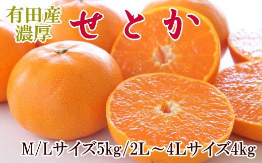 一度は食べていただきたい「有田産のせとか」約4～5kg（サイズおまかせ）※2026年2月中旬～2026年3月上旬頃に順次発送【tecj1024】