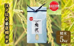 【令和8年産 先行予約】江戸伝承厳選棚田米5kg お米 コメ