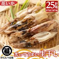 鹿児島県阿久根市産生干し「花いか」(計25尾・5尾×5袋)国産 魚介 干物 ひもの イカ 烏賊 がらんつ干物【マルフク川畑水産】akn029-06