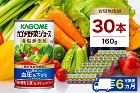 ns001-021　【定期便6ヵ月】カゴメ　野菜ジュース　食塩無添加　160g缶×30本 1ケース 毎月届く 6ヵ月 6回コース【 栃木県 那須塩原市 】