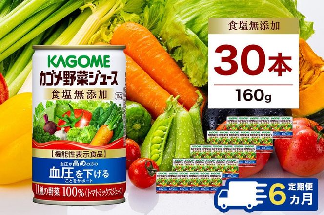 ns001-021　【定期便6ヵ月】カゴメ　野菜ジュース　食塩無添加　160g缶×30本 1ケース 毎月届く 6ヵ月 6回コース【 栃木県 那須塩原市 】