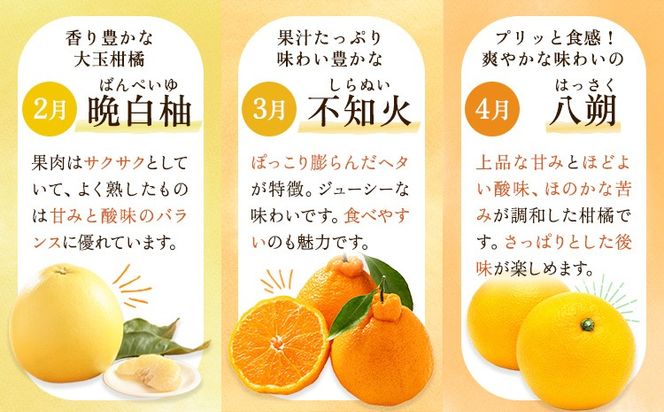 柑橘 柑橘定期便  森田果樹園 《12月上旬-4月末頃出荷》 熊本県 氷川町 柑橘 定期便 みかん スイートスプリング 晩白柚 不知火 八朔 果物 フルーツ 熊本県産---hkw_mtk_4_mo5---