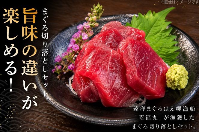 まぐろ ミナミマグロ ビンチョウマグロ 各300g 切り落とし セット [臼福本店 宮城県 気仙沼市 20566282] 魚 鮮魚 刺身 トロ 天然本マグロ マグロ みなみまぐろ ビンチョウ まぐろ 鮪 本まぐろ 本マグロ 本鮪