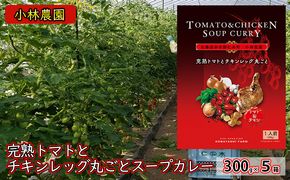 5箱 完熟トマト チキンレッグ 丸ごと スープカレー 300g 北海道 仁木町 惣菜 こだわり アイコ トマトジュース 甘味 酸味 レトルト お手軽 [小林農園]