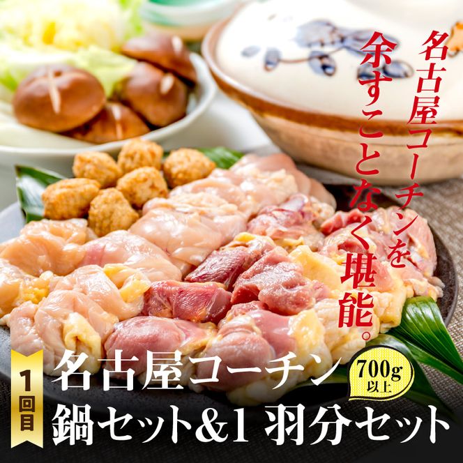 【半年に1回　計2回定期便】名古屋コーチン鍋&名古屋コーチン1羽分セット・名古屋コーチン焼鳥セット[001T08-T]