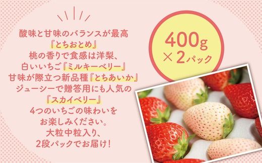 大満足4種食べ比べセット（とちおとめ、ミルキーベリー、とちあいか、スカイベリー）400g×2パック 800g｜先行予約 数量限定 ※2026年2月上旬～4月中旬頃に順次発送予定
