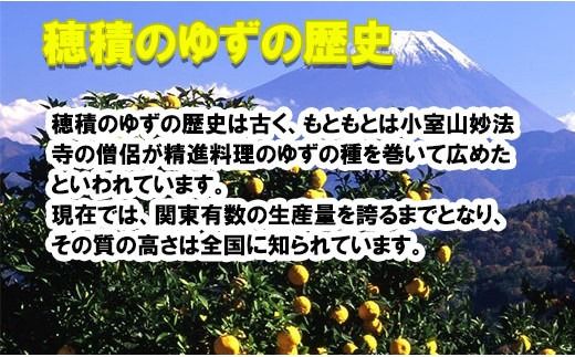 ゆず胡椒（２本）＆ゆずポン酢（１本）セット　ゆず胡椒 ゆずこしょう 柚子胡椒 柚子こしょう 柚子ポン酢 ゆずポン 柚子ポン 柚子 ゆず  山梨 やまなし 富士川町 日出づる里活性化組合 10000円 一万円