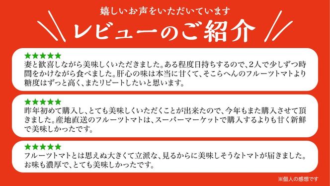 スーパーフルーツトマト 大箱 約2.6kg × 2箱 【大玉 20～35玉/1箱】 糖度9度 以上 トマト とまと フルーツトマト フルーツ 野菜 やさい 高糖度 [AF034ci]