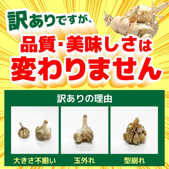 訳あり 平戸にんにく 約1kg 〈2026年6月10日～2026年10月31日〉乾燥 ニンニク 平戸にんにく 訳アリ わけアリ 不揃い 型崩れ 自然乾燥 大量 大容量 常温 配送 数量限定 高知県産 高知県 土佐市【株式会社 植田ファーム】[BQAT006]
