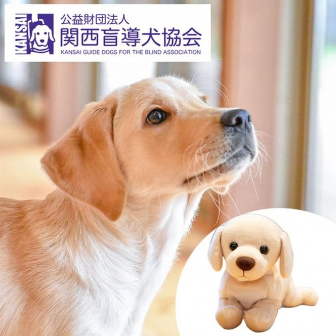 【返礼品相当額で盲導犬の育成を支援】支援額30,000円(記念品あり)エコバッグなど盲導犬協会オリジナルグッズ進呈[行きたい場所に安心していける社会に…]