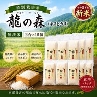 特別栽培米 「 龍の森 」( キヌヒカリ )　300g×15パック お米 きぬひかり 無洗米 真空パックでお届け 米 コメ 精米 無洗米 白米 ごはん 白飯 京都府 南丹市