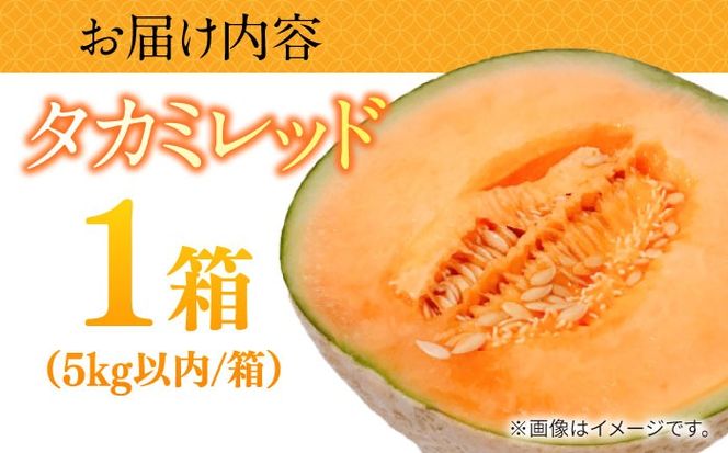 【2026年5月〜発送】タカミメロン レッド 1箱 5kg以内 （3～6玉） / メロン めろん フルーツ 果物 / 南島原市 / 南島原果物屋[SCV031]