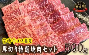 【黒毛和牛レストラン直送】A4等級以上 宮崎牛メス指定厚切り特選焼肉セット 500g（国産 牛肉 黒毛和牛 和牛 A4等級以上 赤身 霜降り 焼肉 BBQ 冷凍）