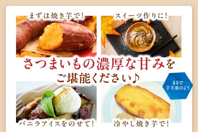 【先行予約】【日本一ダブル受賞セット】紅はるか、ふくむらさきセット計約5kg 京都 丹後 さつまいも 　TF00070