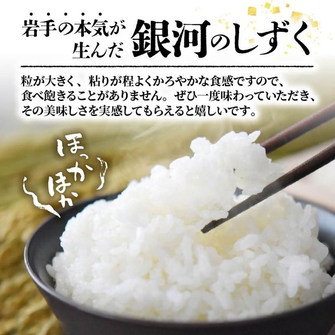 【先行予約】 令和8年産 銀河のしずく 一等米 精米 10kg (5kg×2袋) 岩手県産 米 白米 はくまい コメ rice ごはん 常温 常温保存 保存 農家 農作物 栄養 夕飯 大船渡 三陸 岩手県 国産