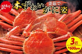 【大好評！カニ酢付き】訳あり！釜茹で！本ずわいがに姿 3匹（600g前後×3匹）　YK00283