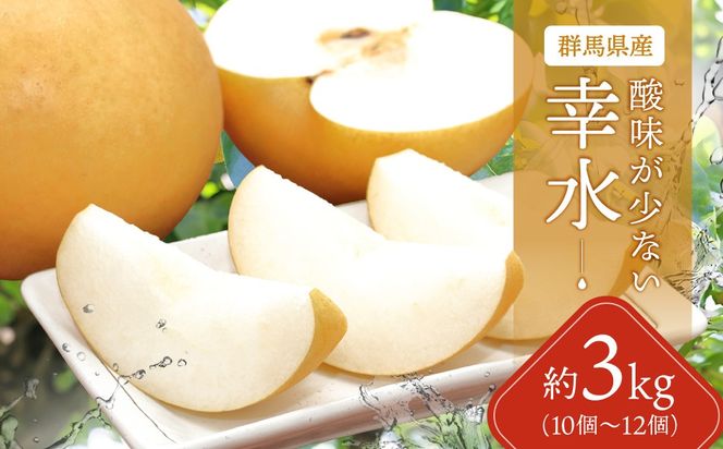 【先行予約】群馬県産梨「幸水」約3kg(10～12個)【8月中旬～8月下旬発送予定】ANAH004