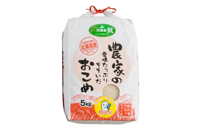 米 【先行予約】令和8年産【6ヵ月定期便】ななつぼし 北海道南るもい産 (無洗米) 5kg R011-067-R8