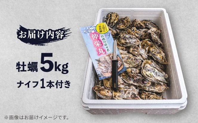 【加熱用】一粒牡蠣 カキ 5kg (牡蠣ナイフ付き) 糸島産 福吉 糸島市 / 伸栄丸 カキの佐々木 牡蠣 生カキ 生食用 殻付き カキ 生牡蛎[ATH003]