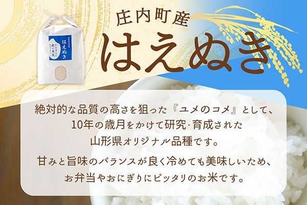 【新米受付】令和8年産 はえぬき 10kg 渡會さんのうまい米！ 5kg×2袋 2026年産 ブランド米 米 国産 単一原料米 山形 庄内平野 コシヒカリの原点、亀の尾発祥の地 庄内【R8.10月以降発送開始/入金期限：2026年9月15日】