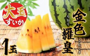 〈予約受付〉【2027年発送】甘さを追求したすいか「金色羅皇」1玉 すいか 甘い 糖度 黄色 果物 フルーツ 数量限定 碧南市 鈴良農園 H141-019