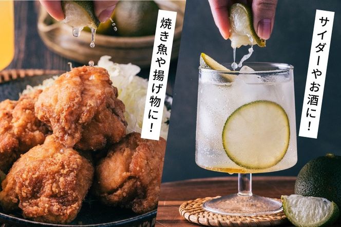へべす 100% 果汁 2本 醤油 1本 計3本 セット [ひむか農園 宮崎県 日向市 452061201] ヘベス しょうゆ 調味料 柑橘