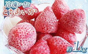 出会いの森いちご園 冷凍いちご （1kg） | いちご イチゴ 苺 栃木県 果物 くだもの フルーツ とちあいか 新鮮 贈答 ギフト デザート スイーツ 冷凍 ※2026年5月～発送