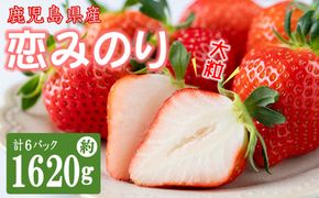 【数量限定】鹿児島県産朝採れイチゴ「恋みのり」約1620g(約270g×6パック)  a3-241