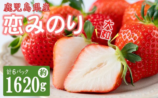 【数量限定】鹿児島県産朝採れイチゴ「恋みのり」約1620g(約270g×6パック)  a3-241