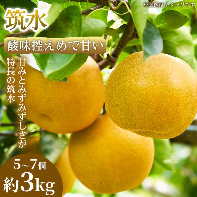 【酸味控えめで甘い】果汁あふれる熊本県産 筑水 5～7個(約3kg) 1箱 筑水 梨 フルーツ 甘い 濃厚 農家直送 ギフト 贈答用 家庭用 お取り寄せ 熊本県