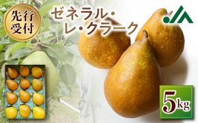 【先行受付：2026年10月中旬以降発送分】洋梨（ゼネラル・レ・クラーク） 5kg 香り豊か 甘味が強い 程よい酸味 北海道 余市 季節限定 フルーツ デザート_Y010-0654
