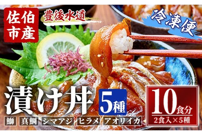 漬け丼 5種セット (計10食分・2食入×5種) りゅうきゅう あつめし 魚介 鰤 ブリ 真鯛 タイ シマアジ アジ ヒラメ 鮃 アオリイカ イカ 冷凍 海鮮 海の直売所 大分県 佐伯市【AS147】【海べ (株)】