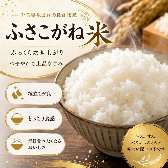 【新米】米 ふさこがね 5kg まなびファーム 令和8年産  白米 精米 ブランド米 産地直送 新米 九十九里町