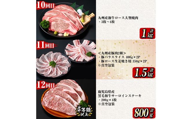 【定期便全12回】牛・豚堪能定期便(12ヶ月連続・計15.7kg超) t0194-002