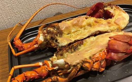 天然 伊勢えび（活）2～5尾 750～850g【2025年10月中旬頃から2026年3月末までに順次発送（1月は漁不可）】 / 伊勢えび 伊勢海老 海老 海鮮 天然 えび 【enk002】