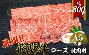 店主こだわり雌牛 飛騨牛A5等級　ロース　焼肉用　約800g [No.065]
