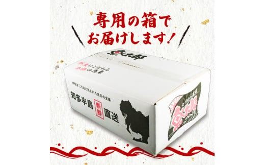 【特大】 天然 鯛 干物 セット 汐干し (350g～420g×3枚) 味醂干し (180g～250g×3枚) ひもの タイ 大きい 天然鯛 魚太郎 愛知県 南知多町