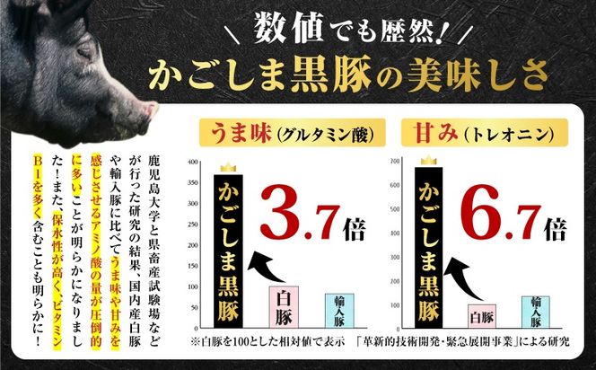 昔ながらの黒豚しゃぶしゃぶセット＜バラ、ロース、肩ロース＞6～8人前　K125-004