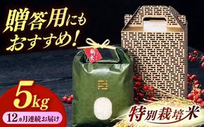 【全12回定期便】とくべつの中のとくべつ  特別栽培米  夢つくし 5kg【築上町】 / itoshimacco / 株式会社やました[ABEX008]