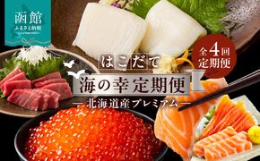はこだて 海の幸 定期便 10万円 北海道産 プレミアム 全4回 海の恵 食通 うなる 海のごちそう セレクト 函館名物 いかそーめん いかそうめん いか刺し 戸井産 本マグロ 赤身 中トロ 函館サーモン いくら 醤油漬け 月替り お取り寄せ 北海道 函館市 送料無料_HS001-008
