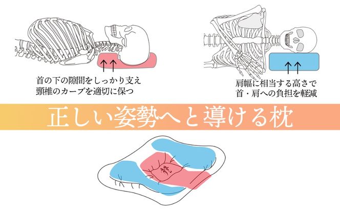 創業1926年 百年の伝統を持つ名門整体院・仲野整體（なかのせいたい）が作り上げた理想の寝姿勢をつくる枕│枕 まくら ストレートネック 横向き 姿勢矯正 姿勢が良くなる 寝具 睡眠の質向上 肩こり 首こり トライコア オリジナル 整体 カイロプラクティック 三重県 四日市市