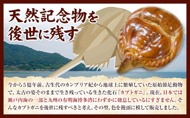 かぶとがにまんじゅう 選べる サイズ 内容量 特大 中 小 1個 4個 6個 8個 10個 20個 30個 株式会社玉利軒《30日以内に出荷予定(土日祝除く)》岡山県 笠岡市 まんじゅう 饅頭 お土産 和菓子 手土産 送料無料---T-39---